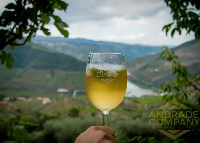 4 Dom wakacyjny Pinhão